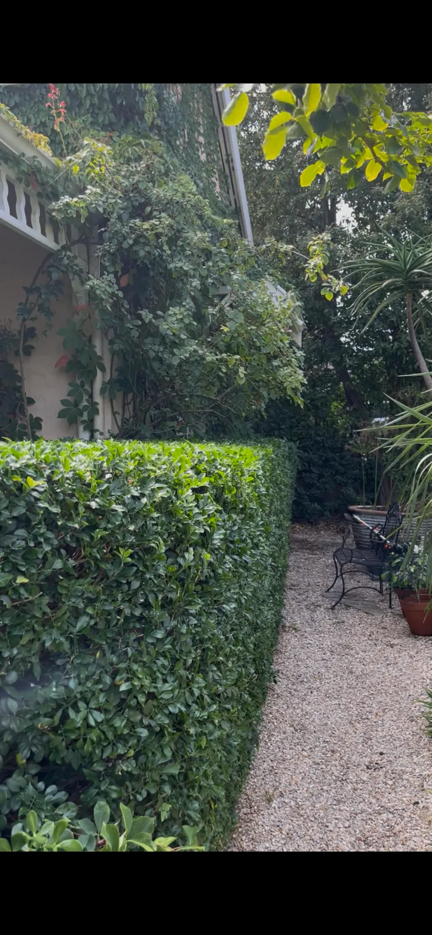 Apex Landscaping project 6