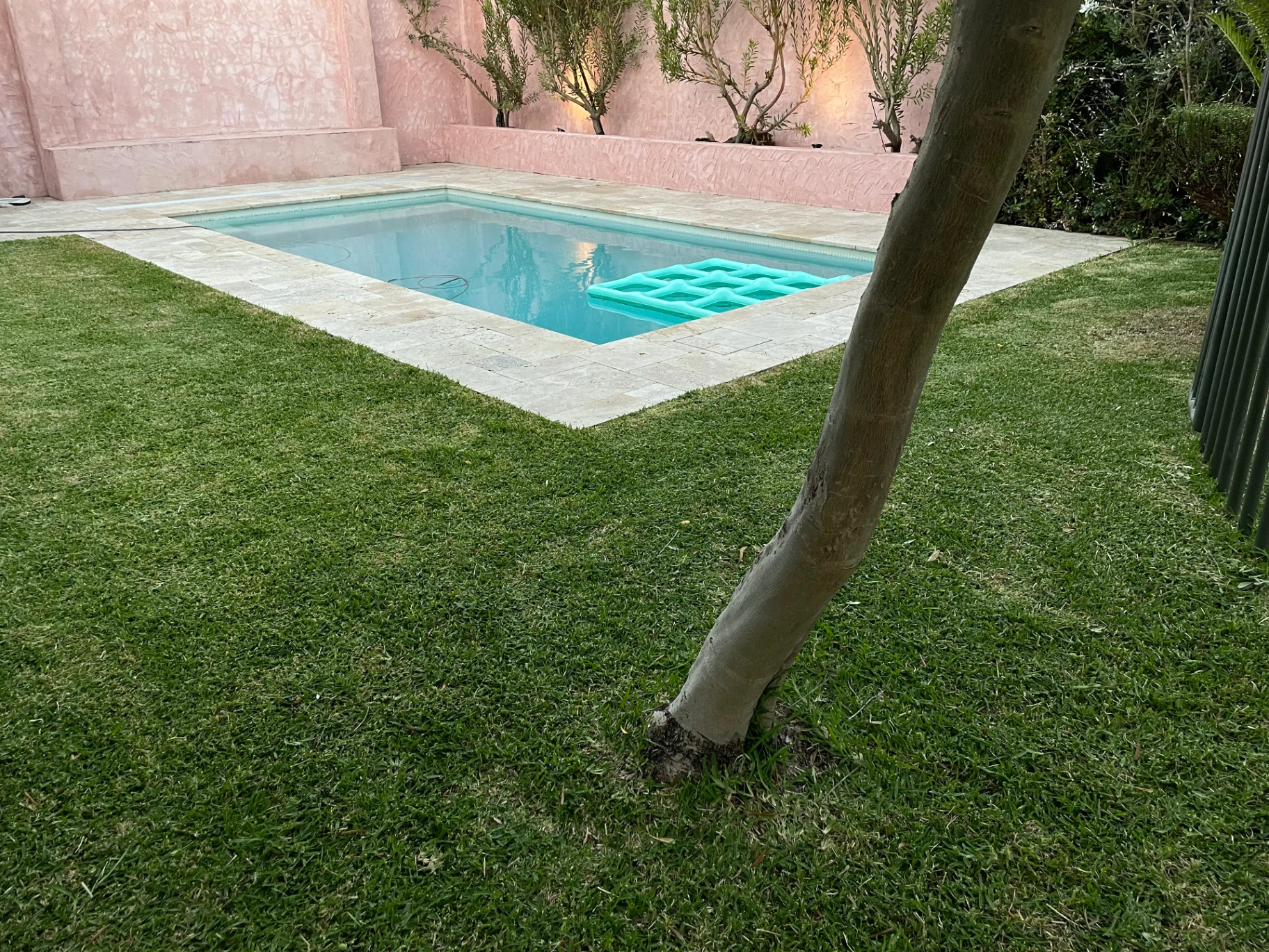 Apex Landscaping project 5